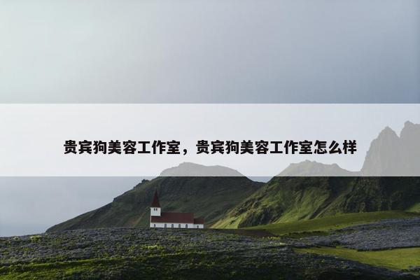 贵宾狗美容工作室，贵宾狗美容工作室怎么样