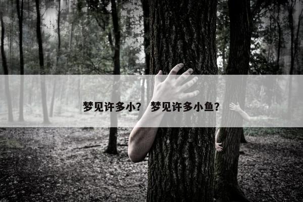 梦见许多小？ 梦见许多小鱼？
