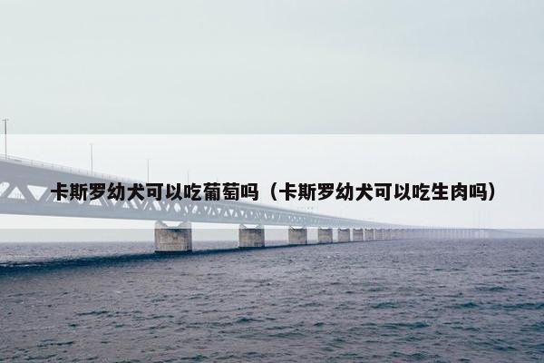 卡斯罗幼犬可以吃葡萄吗（卡斯罗幼犬可以吃生肉吗）