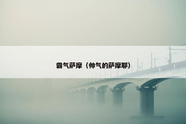 霸气萨摩（帅气的萨摩耶）