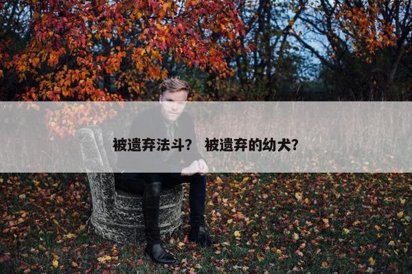 被遗弃法斗？ 被遗弃的幼犬？