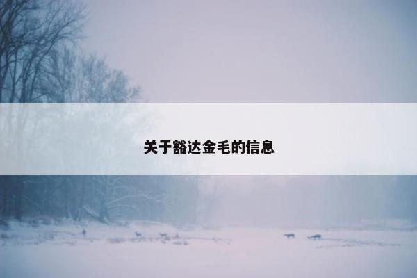 关于豁达金毛的信息