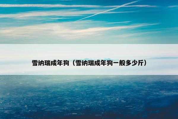 雪纳瑞成年狗（雪纳瑞成年狗一般多少斤）