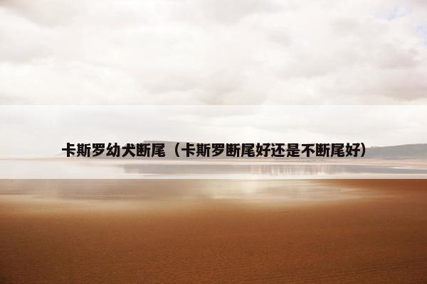 卡斯罗幼犬断尾（卡斯罗断尾好还是不断尾好）