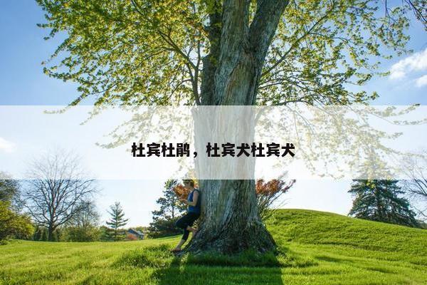 杜宾杜鹃，杜宾犬杜宾犬