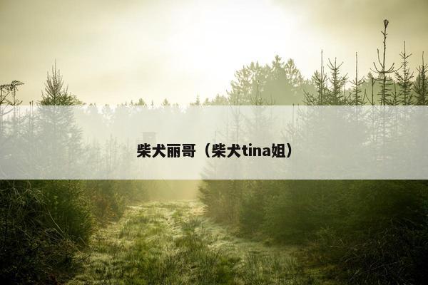 柴犬丽哥（柴犬tina姐）