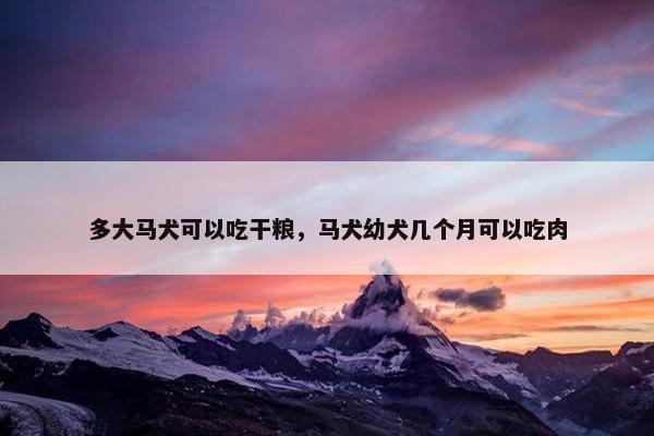 多大马犬可以吃干粮，马犬幼犬几个月可以吃肉