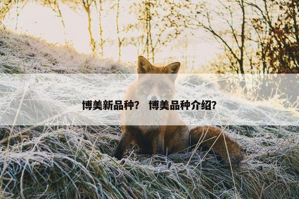 博美新品种？ 博美品种介绍？