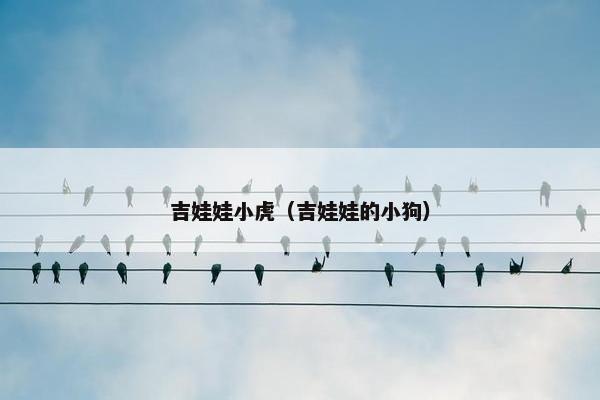 吉娃娃小虎（吉娃娃的小狗）