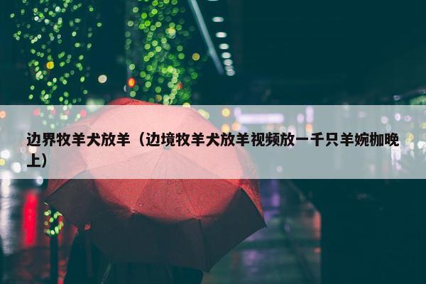 边界牧羊犬放羊（边境牧羊犬放羊视频放一千只羊婉枷晚上）