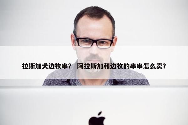 拉斯加犬边牧串？ 阿拉斯加和边牧的串串怎么卖？