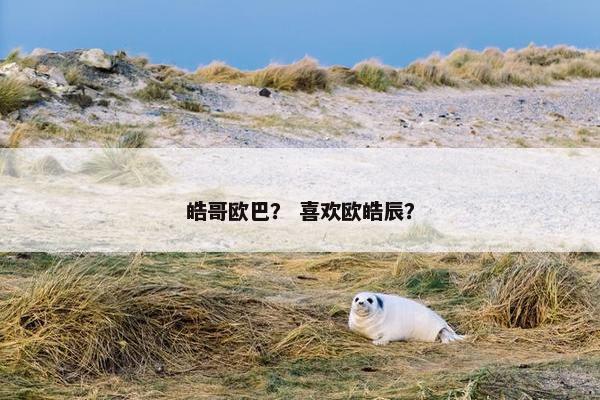 皓哥欧巴？ 喜欢欧皓辰？