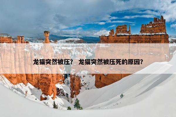 龙猫突然被压？ 龙猫突然被压死的原因？