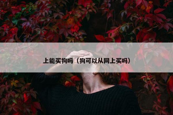 上能买狗吗（狗可以从网上买吗）