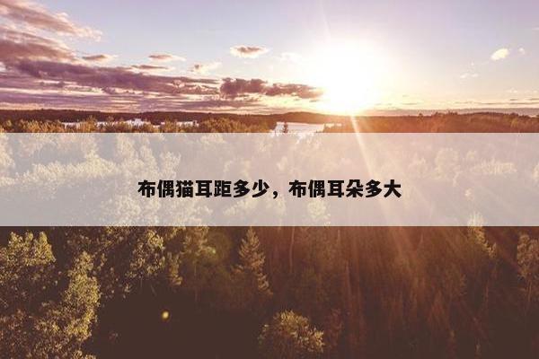 布偶猫耳距多少，布偶耳朵多大