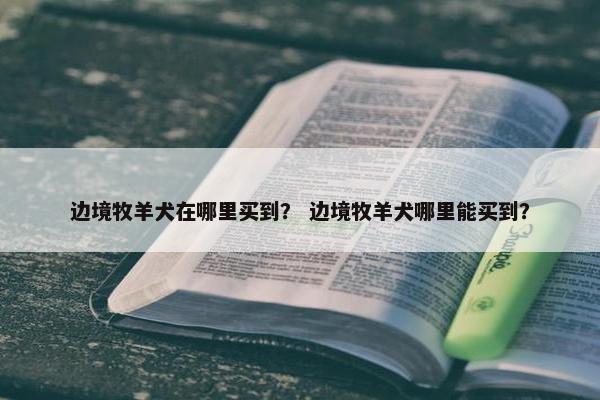 边境牧羊犬在哪里买到？ 边境牧羊犬哪里能买到？