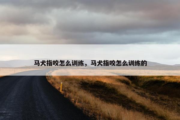 马犬指咬怎么训练,马犬指咬怎么训练的 马犬指咬怎么训练,马犬指咬怎么训练的