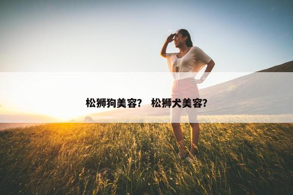 松狮狗美容？ 松狮犬美容？