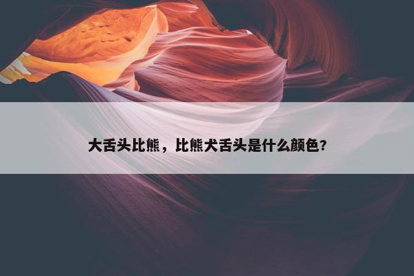 大舌头比熊，比熊犬舌头是什么颜色?