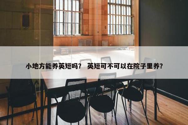小地方能养英短吗？ 英短可不可以在院子里养？