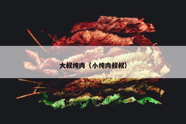 大叔炖肉（小炖肉叔叔）