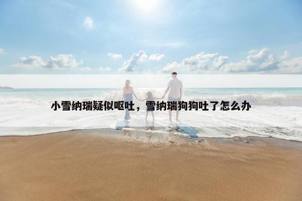 小雪纳瑞疑似呕吐，雪纳瑞狗狗吐了怎么办
