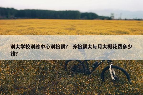 训犬学校训练中心训松狮？ 养松狮犬每月大概花费多少钱？