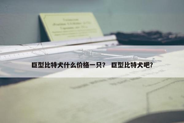 巨型比特犬什么价格一只？ 巨型比特犬吧？