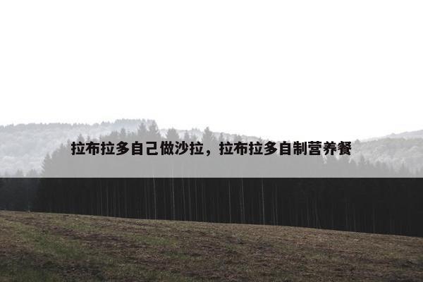 拉布拉多自己做沙拉,拉布拉多自制营养餐 拉布拉多自己做沙拉,拉布拉多自制营养餐