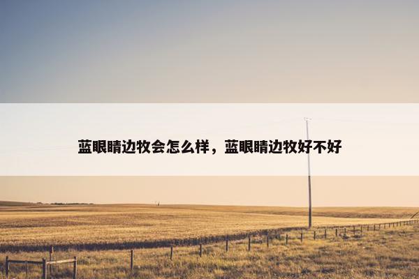 蓝眼睛边牧会怎么样，蓝眼睛边牧好不好