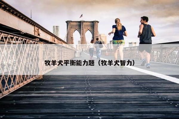 牧羊犬平衡能力题（牧羊犬智力）