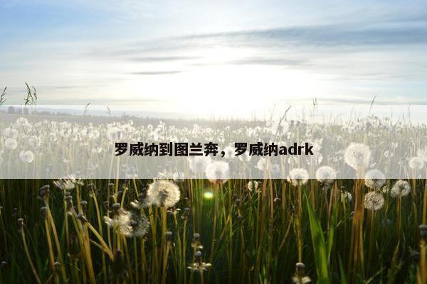 罗威纳到图兰奔，罗威纳adrk