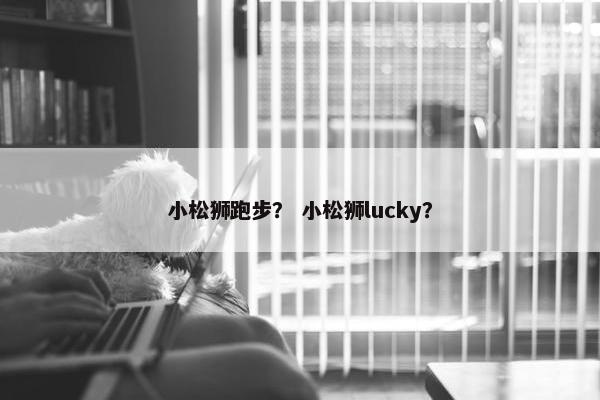 小松狮跑步? 小松狮lucky? 小松狮跑步? 小松狮lucky?