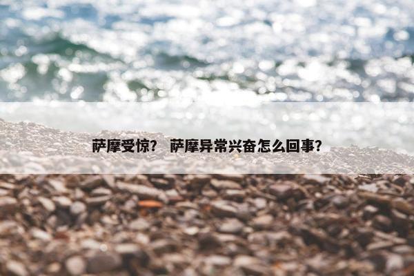 萨摩受惊？ 萨摩异常兴奋怎么回事？