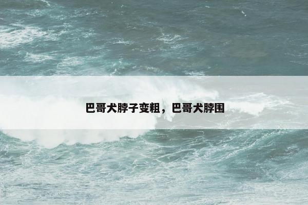 巴哥犬脖子变粗,巴哥犬脖围 巴哥犬脖子变粗,巴哥犬脖围