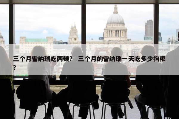 三个月雪纳瑞吃两顿？ 三个月的雪纳瑞一天吃多少狗粮？