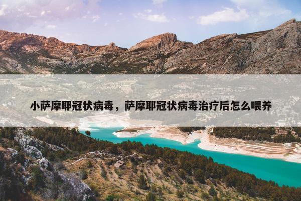 小萨摩耶冠状病毒，萨摩耶冠状病毒治疗后怎么喂养