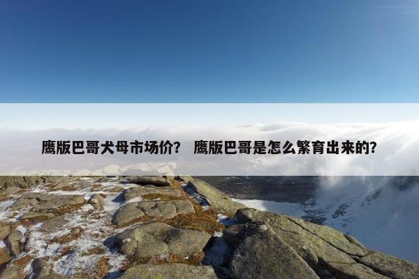 鹰版巴哥犬母市场价？ 鹰版巴哥是怎么繁育出来的？