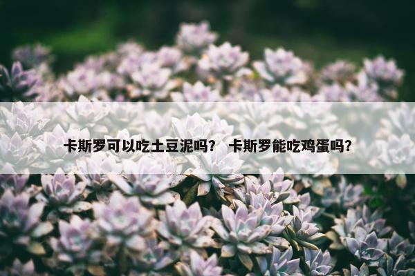 卡斯罗可以吃土豆泥吗？ 卡斯罗能吃鸡蛋吗？