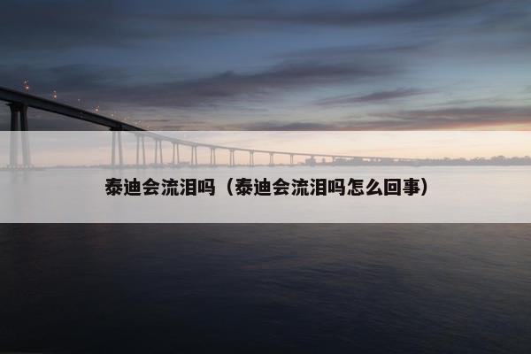 泰迪会流泪吗(泰迪会流泪吗怎么回事) 泰迪会流泪吗(泰迪会流泪吗怎么回事)