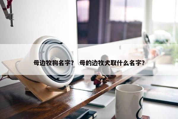 母边牧狗名字？ 母的边牧犬取什么名字？