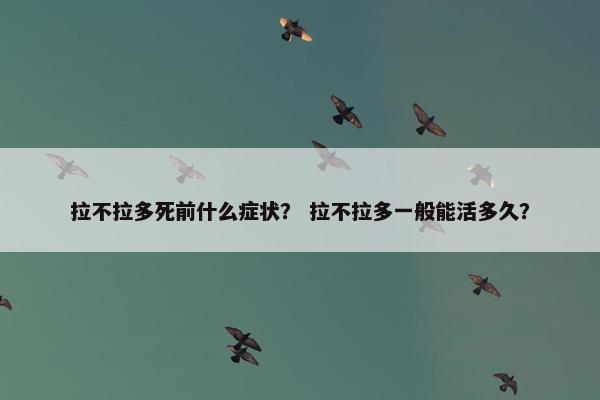 拉不拉多死前什么症状？ 拉不拉多一般能活多久？
