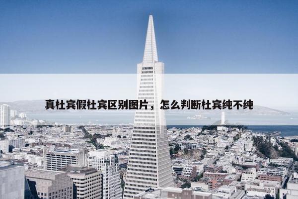 真杜宾假杜宾区别图片，怎么判断杜宾纯不纯