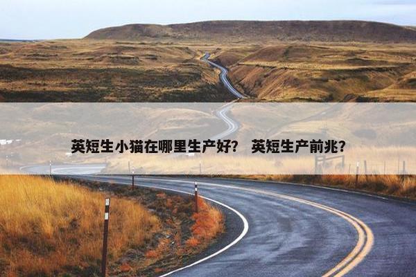 英短生小猫在哪里生产好？ 英短生产前兆？