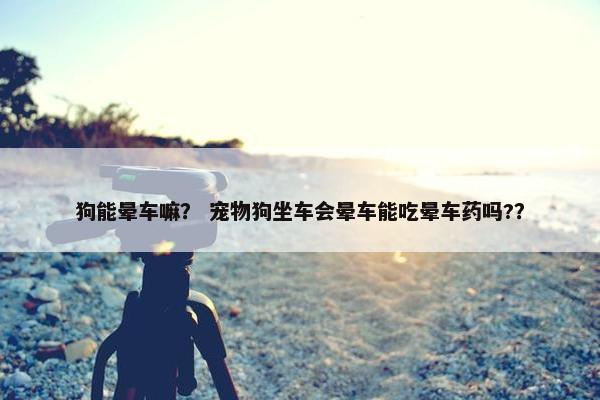 狗能晕车嘛？ 宠物狗坐车会晕车能吃晕车药吗?？