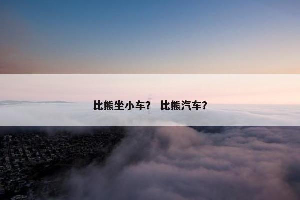 比熊坐小车？ 比熊汽车？