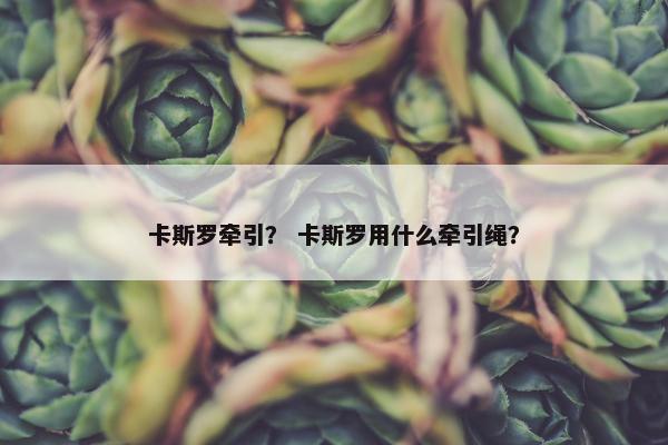 卡斯罗牵引？ 卡斯罗用什么牵引绳？