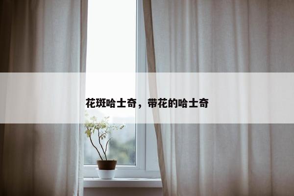 花斑哈士奇，带花的哈士奇