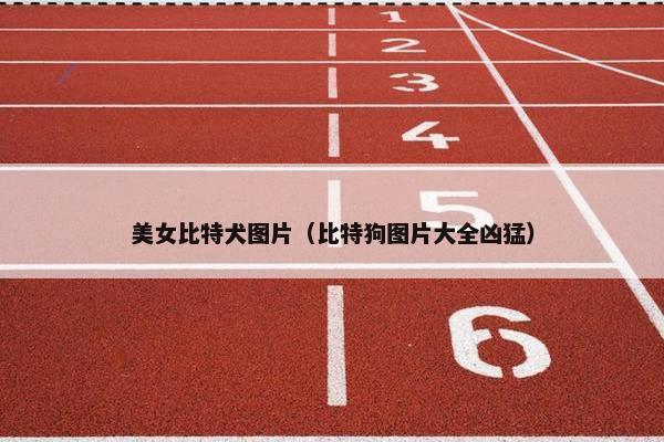 美女比特犬图片（比特狗图片大全凶猛）