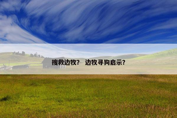 搜救边牧？ 边牧寻狗启示？
